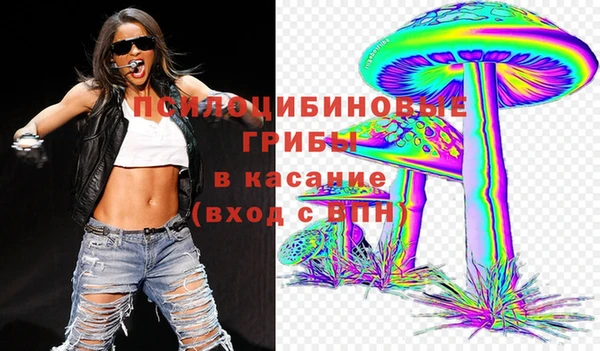 дживик Горно-Алтайск